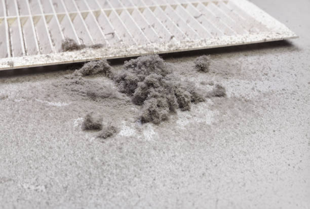Best Professional Duct Cleaning Services  in Genola, UT