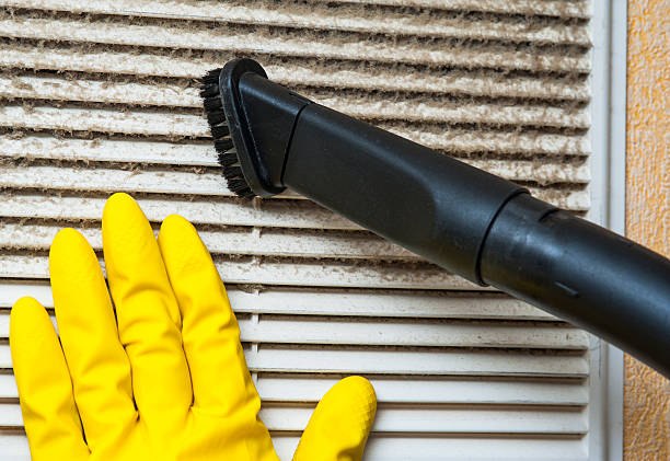 Best Duct Cleaning for Homes  in Genola, UT